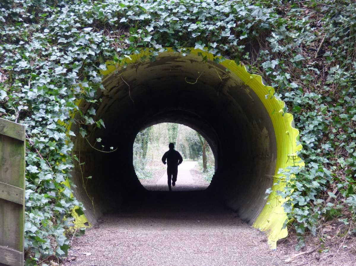 Harborne Walkway